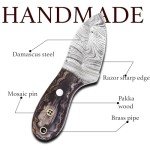Ancilla Handmade Damascus Hunting Knife - EDC Camping Knife - Fixed Blade Mini Pocket Predator Hunter Viking Knife - Full Tang Bushcraft and Skinning knife with leather sheath