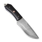 SharpWorld Beautiful Damascus Knife Made Of Remarkable Damascus Steel Buffalo Horn Handle -Best Hunting Knife With Brown Sheath TJ110