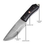 SharpWorld Beautiful Damascus Knife Made Of Remarkable Damascus Steel Buffalo Horn Handle -Best Hunting Knife With Brown Sheath TJ110