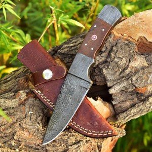 SharpWorld 10 Inches Beautiful Damascus Knife Made Of Full Tang Damascus Steel Wood Handle/w Brown Leather Sheath TJ112