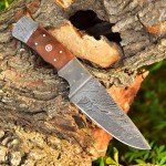 SharpWorld 10 Inches Beautiful Damascus Knife Made Of Full Tang Damascus Steel Wood Handle/w Brown Leather Sheath TJ112