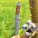 SharpWorld 10 Inches Beautiful Damascus Knife Made Of Full Tang Damascus Steel Wood Handle/w Brown Leather Sheath TJ112