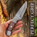 SharpWorld 10 Inches Beautiful Damascus Knife Made Of Full Tang Damascus Steel Wood Handle/w Brown Leather Sheath TJ112