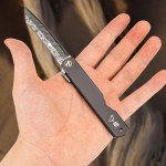 Hitdudu Folding Pocket Knife, 3" Damascus 8Cr14MoⅤ Steel Blade, 3.8" Handle Japanese Small EDC Knife for Men Women, Sharp Camping Survival Hiking Knives
