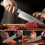 KEENZO Damascus Chef Knife 8 inch, Professional Kitchen Knives,Sharp High Carbon Stainless Steel Cooking Knife, Ergonomic Blue Resin & Natural Wood Handle with Gift Box for Home & Restaurant