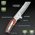 AUBEY Damascus Pocket Knife with Leather Sheath, 3.14" Damascus Steel Blade Folding Knives with Wood Handle and Clip, Gift for Camping Collection