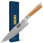 HOSHANHO Damascus Chef Knife 8 Inch, Professional 67 Layers VG-10 Super Steel Kitchen Knife, Ultra Sharp Japanese Knife with Durable Ergonomic Olive Wood Handle