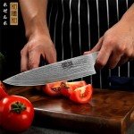 HOSHANHO Damascus Chef Knife 8 Inch, Professional 67 Layers VG-10 Super Steel Kitchen Knife, Ultra Sharp Japanese Knife with Durable Ergonomic Olive Wood Handle