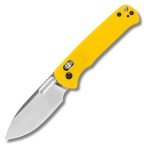 CJRB Hectare Folding Pocket Knife, 3.15" AR-RPM9 Powder Steel Blade G10 Handle Small EDC Knife With Pocket Clip for Men Women, Sharp Camping Survival Hiking Knives J1935 (Yellow)