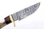 Handmade Beautiful Damascus Steel Knife, 6” Fix Blade Knife with Leather Sheath, Handle made of Stag Horn and Camel Bone with Colour Wood Spacers with Brass Guard