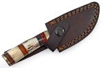 Handmade Beautiful Damascus Steel Knife, 6” Fix Blade Knife with Leather Sheath, Handle made of Stag Horn and Camel Bone with Colour Wood Spacers with Brass Guard