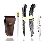 Best.Buy.Damascus1 Ultimate Folding Knife Black Buffalo Horn Pocket Knife Compact, Damascus Knife - Ideal knife for Outdoor, Survival, Hunting, Camping Knives & Everyday Use Knife Set
