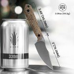 Kizer Mini Harpoon Fixed Blade Knife with Sheath, 3V Blade Hunting Knife with Micarta Handle, Camping Fixed Blade Small EDC Knife for Hiking, Survival 1040SM1
