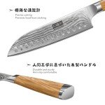 HOSHANHO Damascus Santoku Knife 7 Inch, Professional Japanese Damascus Super Steel Kitchen Knife, Sharp Cooking Knife with Durable Ergonomic Olive Wood Handle