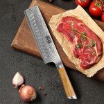 HOSHANHO Damascus Nakiri Knife 6.5 Inch, Super Sharp Damascus VG-10 Japanese Kitchen Knife, Cleaver and Vegetable Knife with Ergonomic Olive Wood Handle