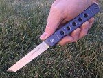 Higonokami Pocket Folding Knife, Titanium Handle, Japanese Style Top Flipper, D2 Steel Tanto Blade, Includes Sheath (Kyoko Blue Steel)