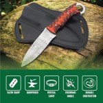 Hunting Knife Damascus Steel EDC Fixed Blade Bushcraft Knife, Full Tang Scout Carry Knife with Leather Sheath, Ideal for Skinning Outdoor Camping, Hunting, Hiking, Survival Knives (Damascus Knife)