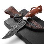 DRACHENADER Damascus Hunting Knife Handmade VG10 67-Layers Damascus Steel Bowie Knife with Real Leather Sheath, Fixed Blade Knife with for Men, Wood Handle