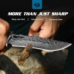 DRACHENADER Damascus Hunting Knife Handmade VG10 67-Layers Damascus Steel Bowie Knife with Real Leather Sheath, Fixed Blade Knife with for Men, Wood Handle