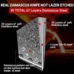 Japan Knife, Japanese Damascus Chef Knife 8 Inch VG10 67 Layers Super Steel Sharp Knife, Non-Slip Ergonomic Pakkawood Handle with Gift Box