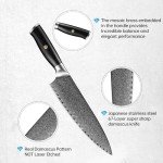 Japan Knife, Japanese Damascus Chef Knife 8 Inch VG10 67 Layers Super Steel Sharp Knife, Non-Slip Ergonomic Pakkawood Handle with Gift Box