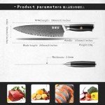 Japan Knife, Japanese Damascus Chef Knife 8 Inch VG10 67 Layers Super Steel Sharp Knife, Non-Slip Ergonomic Pakkawood Handle with Gift Box