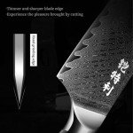 Japan Knife, Japanese Damascus Chef Knife 8 Inch VG10 67 Layers Super Steel Sharp Knife, Non-Slip Ergonomic Pakkawood Handle with Gift Box