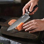 Japan Knife, Japanese Damascus Chef Knife 8 Inch VG10 67 Layers Super Steel Sharp Knife, Non-Slip Ergonomic Pakkawood Handle with Gift Box