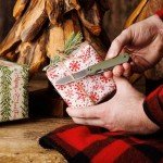 CIVIVI Sendy 3 in 1 Multitool Pocket Knife with Tweezers and Toothpick, Ben Petersen Designed Folding Knife for EDC Camping Daily Use, for Men Women C21004B-1