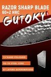 Gutoky 8 Inch Japanese Damascus Chef Knife, VG-10 67 Layers with Natural Hammered Pattern Kitchen Knives, Professional Rosewood Full Tang Handle