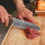 Gutoky 8 Inch Japanese Damascus Chef Knife, VG-10 67 Layers with Natural Hammered Pattern Kitchen Knives, Professional Rosewood Full Tang Handle