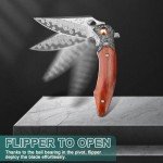 Zingbee Damascus Pocket Knife, 3.27” Damascus Blade EDC Folding Knives with Guibourtia Wooden Handle, Christmas Ideal for Utility Gift