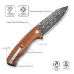 CIVIVI Placoid Pocket Knife for EDC, Folding Knife with 3.67" Damascus Blade Guibourtia Wood Handle For Men Women Gift C23079-DS1