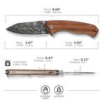 CIVIVI Placoid Pocket Knife for EDC, Folding Knife with 3.67" Damascus Blade Guibourtia Wood Handle For Men Women Gift C23079-DS1