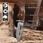 MOHID ENT Handmade Damascus Hunting Knife with Leather Sheath - Ideal for Skinning, Camping, Outdoor - EDC Fixed Blade Bushcraft Knife with Walnut Wood Handle- Horizontal Carry Knives For Men-4002