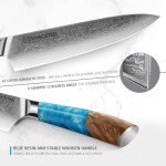 diamosteel Professional Chef Knife 8 Inch, Ultra Sharp Damascus Kitchen Knife with Blue Resin Handle for Meat & Vegetable Cutting, Present Box for Family & Restaurant