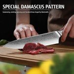 diamosteel Professional Chef Knife 8 Inch, Ultra Sharp Damascus Kitchen Knife with Blue Resin Handle for Meat & Vegetable Cutting, Present Box for Family & Restaurant