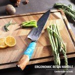diamosteel Professional Chef Knife 8 Inch, Ultra Sharp Damascus Kitchen Knife with Blue Resin Handle for Meat & Vegetable Cutting, Present Box for Family & Restaurant