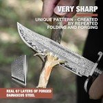 DRACHENADER Damascus Bowie Knife, 10.5 Inch Damascus Knife with Leather Sheath, Handmade Fixed Blade Hunting Knife, Real Damascus Steel with VG10 Core, Wood Handle, Outdoor Bushcraft Knife