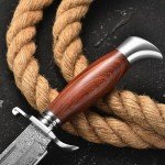 DRACHENADER Damascus Bowie Knife, 10.5 Inch Damascus Knife with Leather Sheath, Handmade Fixed Blade Hunting Knife, Real Damascus Steel with VG10 Core, Wood Handle, Outdoor Bushcraft Knife
