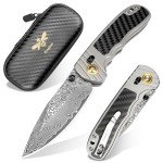 Zingbee Damascus Pocket Knife for Men Women, 3.15" Damascus Steel Blade Pocket Knives & Folding Knives with Carbon Fiber Overlay Handle
