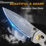Zingbee Damascus Pocket Knife for Men Women, 3.15" Damascus Steel Blade Pocket Knives & Folding Knives with Carbon Fiber Overlay Handle