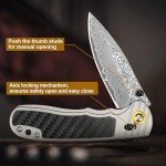Zingbee Damascus Pocket Knife for Men Women, 3.15" Damascus Steel Blade Pocket Knives & Folding Knives with Carbon Fiber Overlay Handle