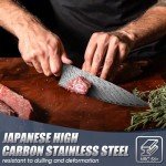 Huusk 8" Chef Knife, Stainless Japanese Kitchen Knife with Ergonomic Resin Handle & Sheath, Sharp Kitchen Knife Full Tang, Japanese High Carbon Steel Cooking Knife, Gift Box for Men Chef Christmas