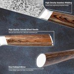 KEIZOKU 8 Inch Chef Knife Professional Japanese Damascus Steel Kitchen Knife with Rosewood Handle & Sheath