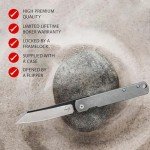 Boker Plus Zenshin - blade spur pocket knife with stainless steel handle scales - folding knife with 440C blade - small knife with bolster hole