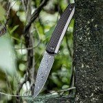 CIVIVI Savant Pocket Folding Knife 3.47-in Damascus Blade Stainless Steel Handle with G10 Twill Carbon Fiber Inlay Nested Frame Lock Knife EDC Knife C20063B-DS1