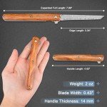 AUBEY Small Damascus Pocket Knife with Sheath, Sharp Tanto Blade Damascus Folding Knife for EDC, Wood Handle, Gift for Men Women