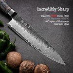 Japanese Chef Knife, 8 Inch Damascus Kitchen Knife with VG10 Steel Core, Professional Black Forged Kitchen Knives with Ergonomic Handle, Leather Sheath and Luxurious Gift Box, Cooking Gifts for Men