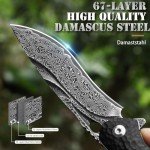 DRACHENADER Damascus Pocket Knife for Men, with Leather Sheath/Clip, 67-Layer Damascus Steel Pocket Knife Handmade Quick Release- Vg10 Steel Core Ebony Handle, Ideal Gift, Black